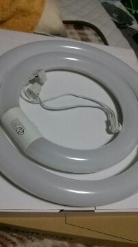 IMG_2013091416519.jpg